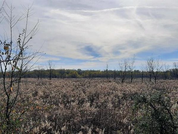 258 Ed Kent, Natchitoches, LA 71416