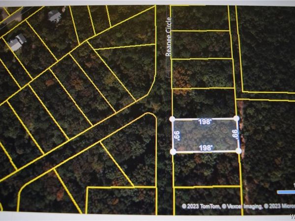 7 Renaee Circle, Lake View, AL 35111