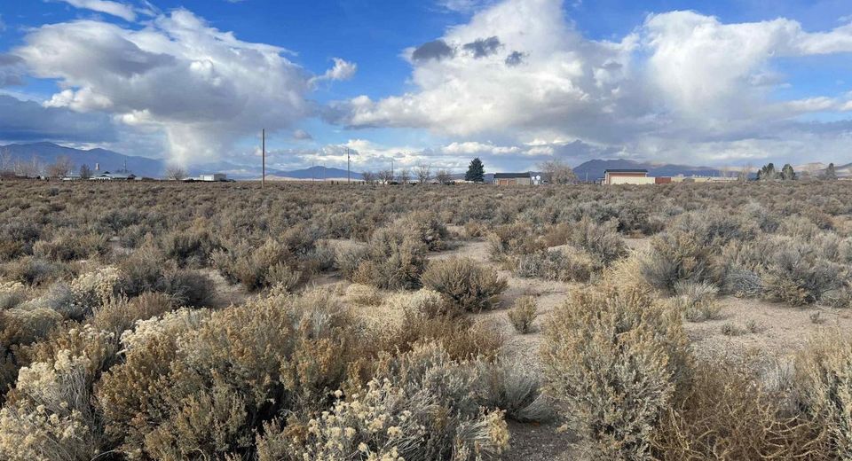 62 Acciari Road, Smith, NV 89430 Photo
