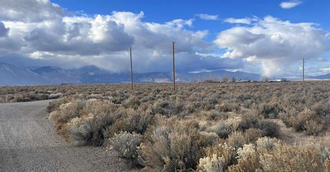 62 Acciari Road, Smith, NV 89430 Photo