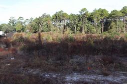 7765 Ocean Hwy. photo 4