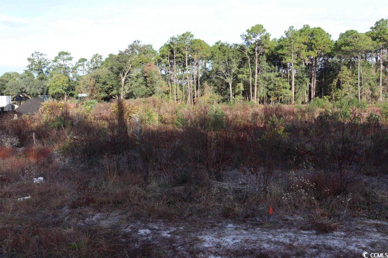 7765 Ocean Hwy. Photo 5