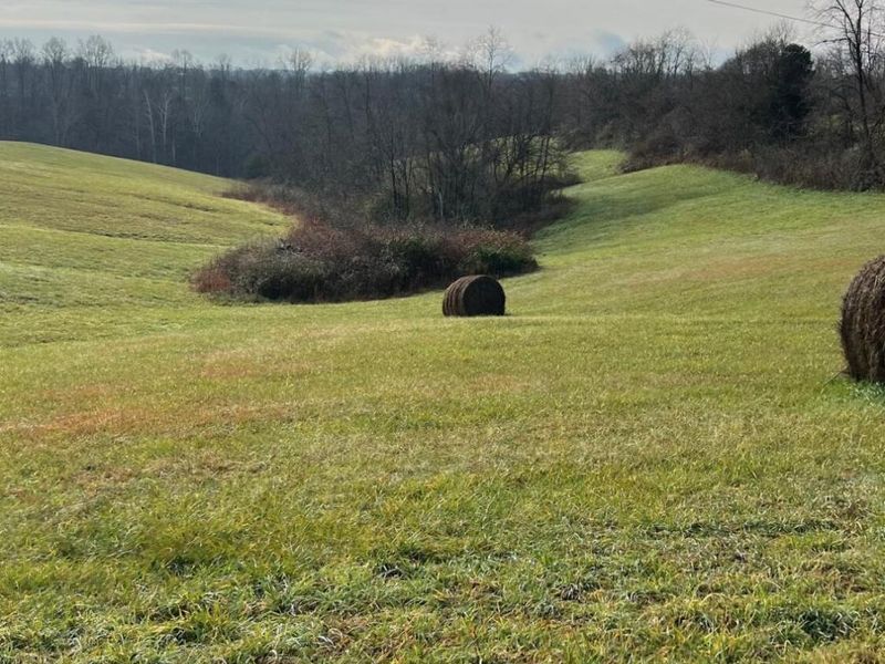 360-1 Mulligan Road, Dry Ridge, KY 41035 Photo 13