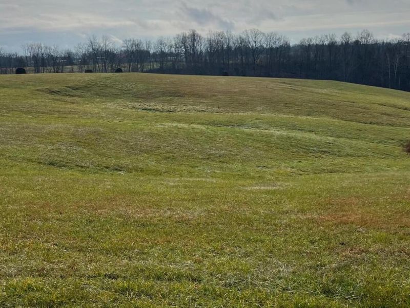 360-1 Mulligan Road, Dry Ridge, KY 41035 Photo 14
