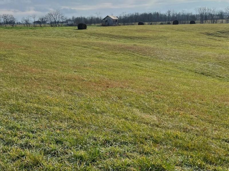 360-1 Mulligan Road, Dry Ridge, KY 41035 Photo 15