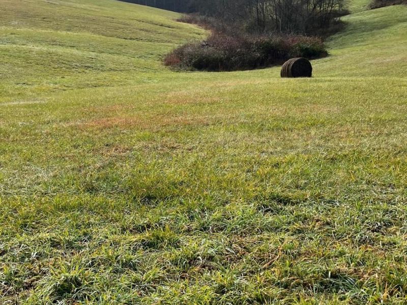 360-1 Mulligan Road, Dry Ridge, KY 41035 Photo 16