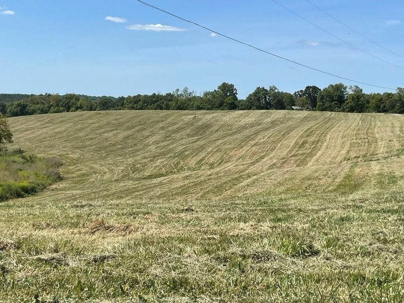 360-1 Mulligan Road, Dry Ridge, KY 41035 Photo 17