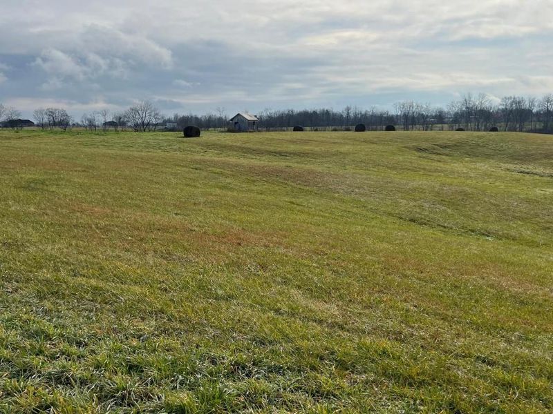 360-1 Mulligan Road, Dry Ridge, KY 41035 Photo 3