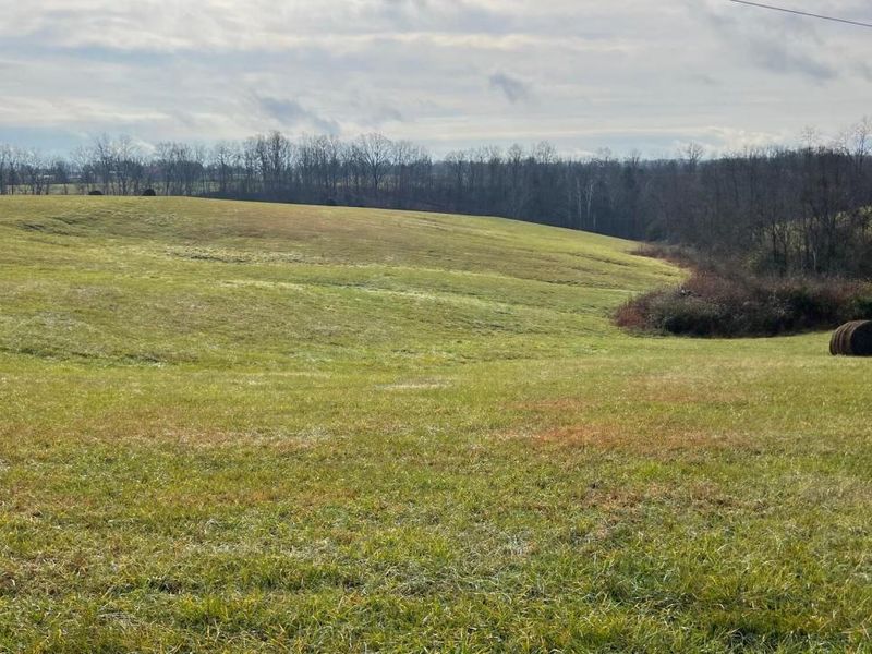 360-1 Mulligan Road, Dry Ridge, KY 41035 Photo 6