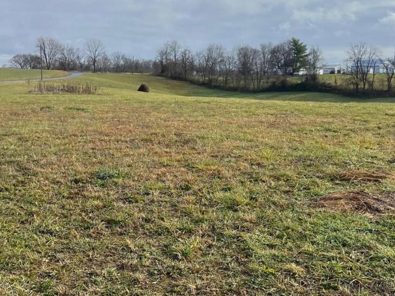 360-1 Mulligan Road, Dry Ridge, KY 41035 Photo 8