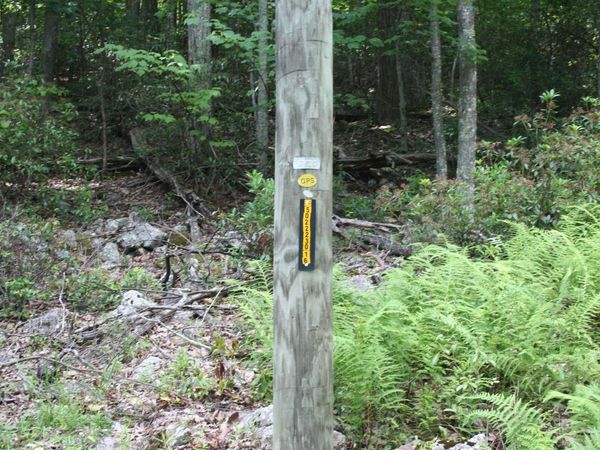 HIGH VALLEY SOUTH, Unit 52, MONTEREY, VA 24465