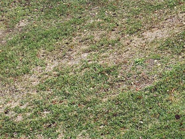 Lot 68 A&B El Scott Ave, Baton Rouge, LA 70811