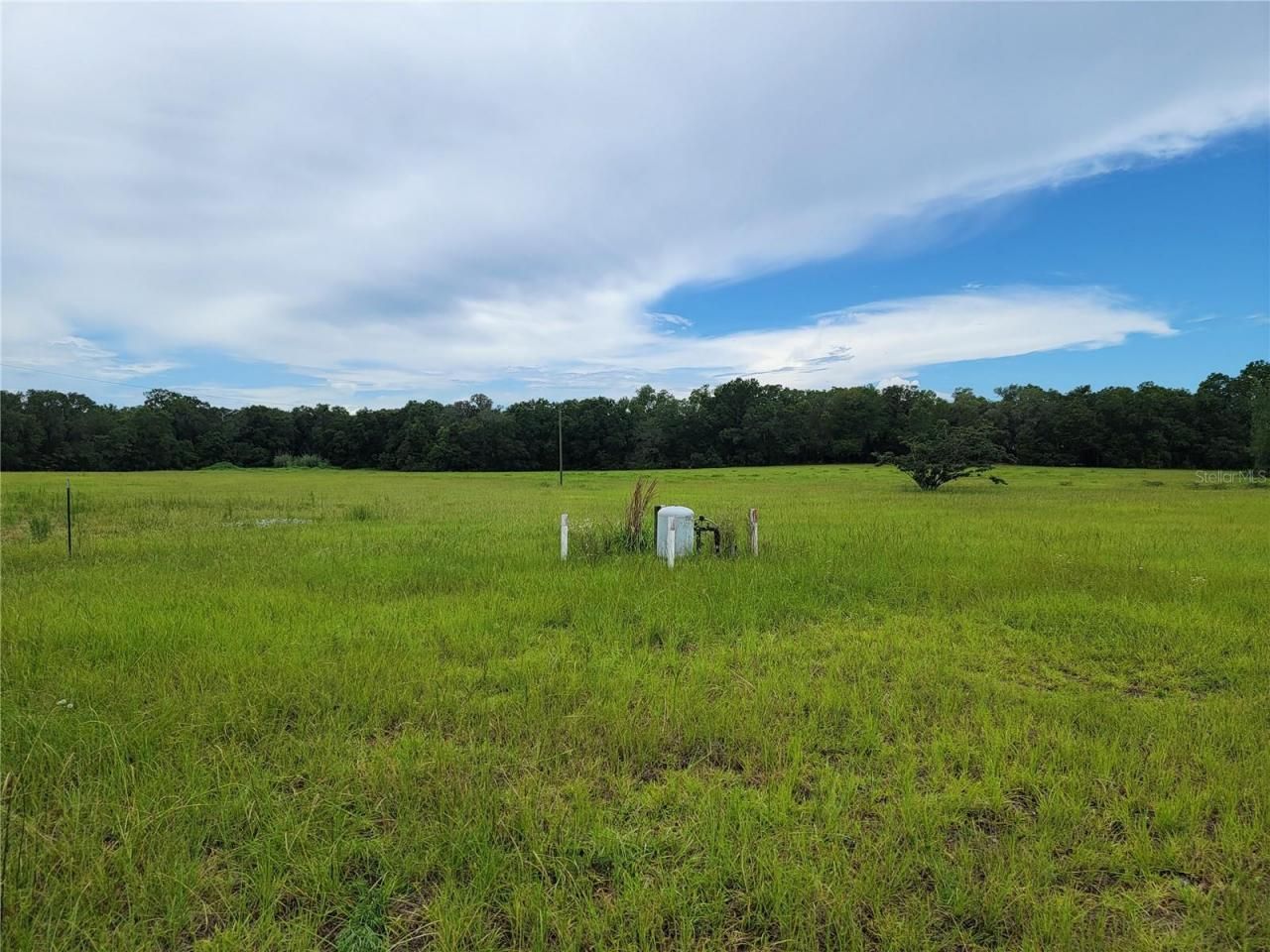 11580 SE Us Highway 441, Belleview, FL 34420 Photo