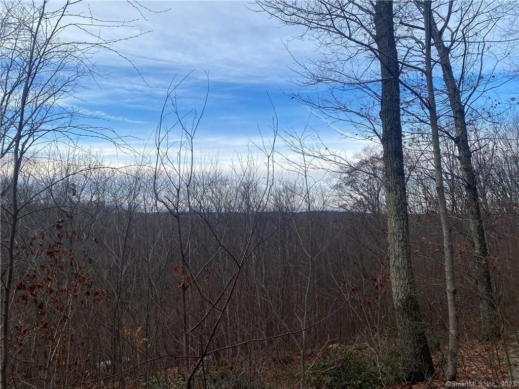 52 Chestnut Hill, Wolcott, CT 06716 Main Photo