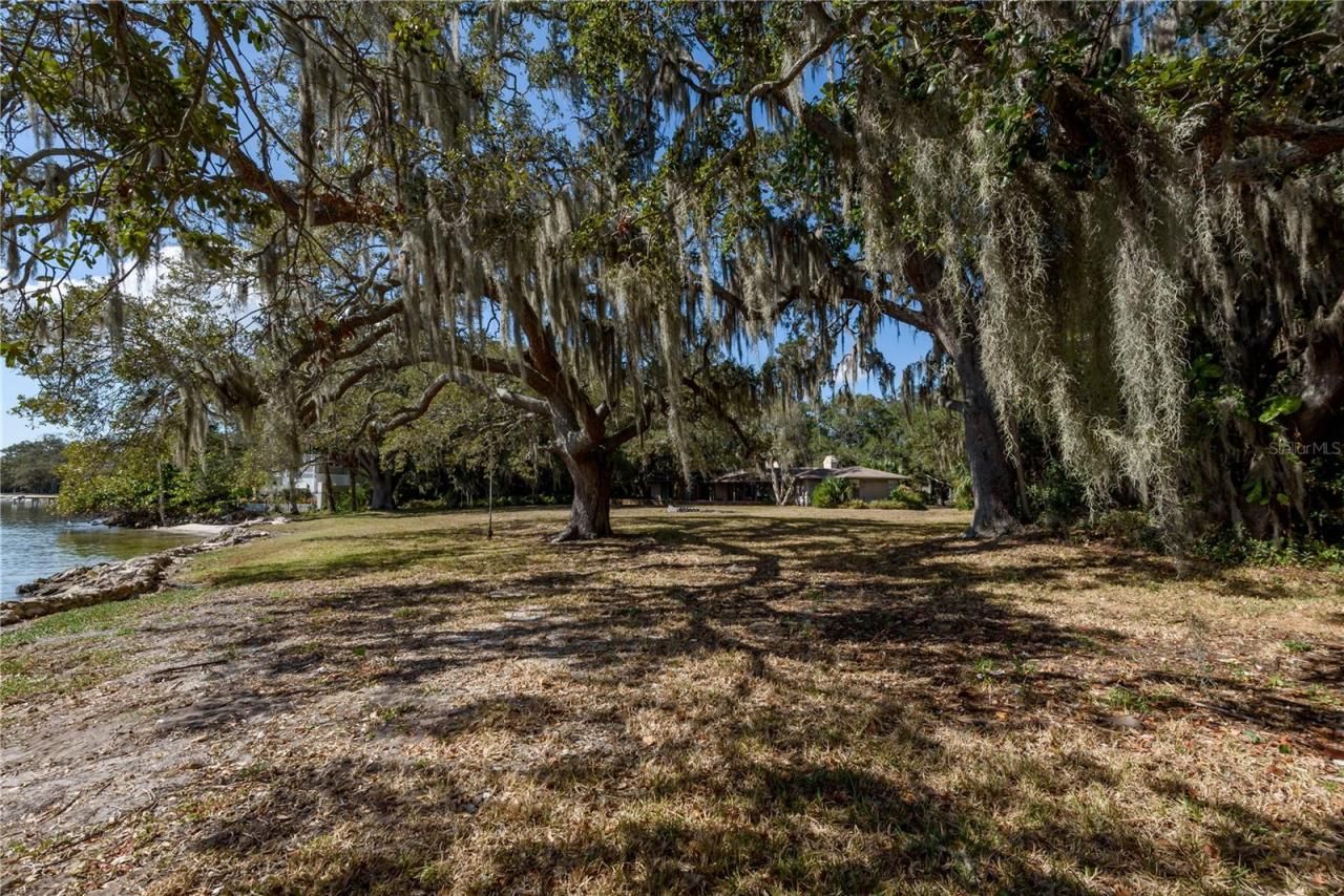 6210 Bayshore Boulevard, Tampa, FL 33611 Photo