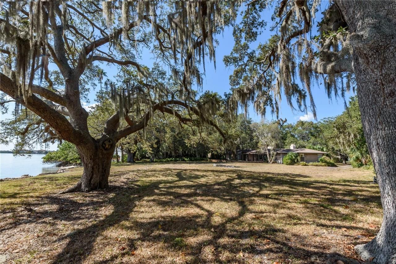 6210 Bayshore Boulevard, Tampa, FL 33611 Photo