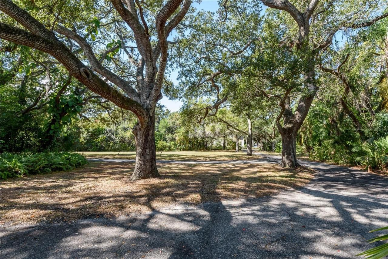 6210 Bayshore Boulevard, Tampa, FL 33611 Photo