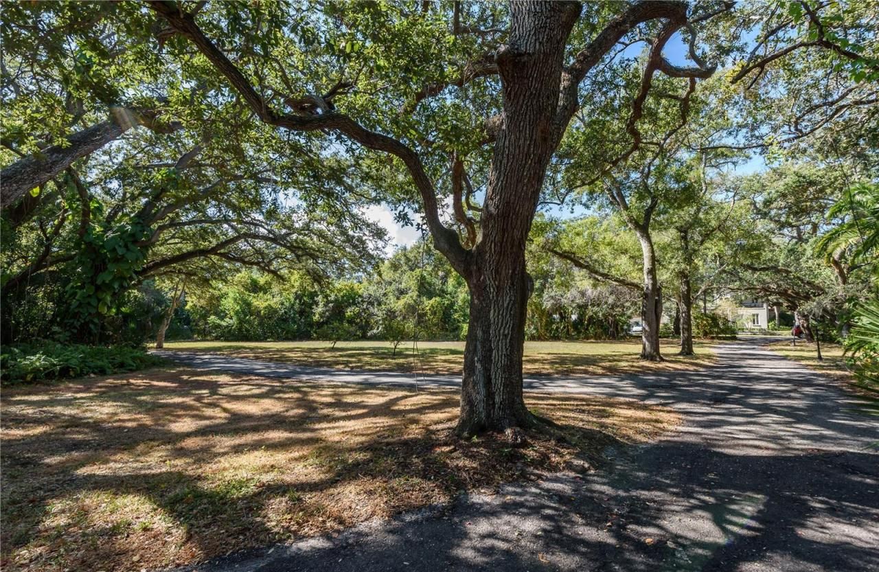 6210 Bayshore Boulevard, Tampa, FL 33611 Photo