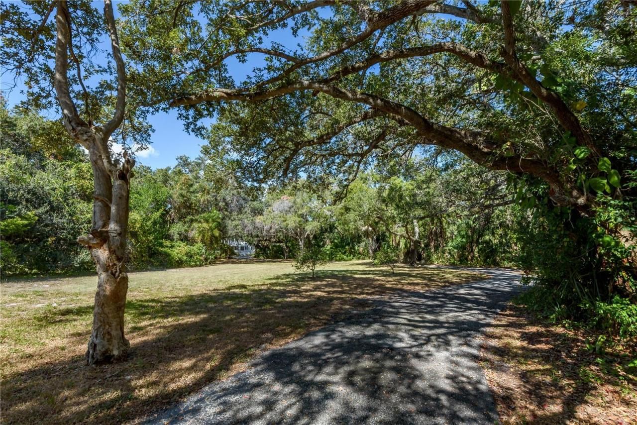 6210 Bayshore Boulevard, Tampa, FL 33611 Photo