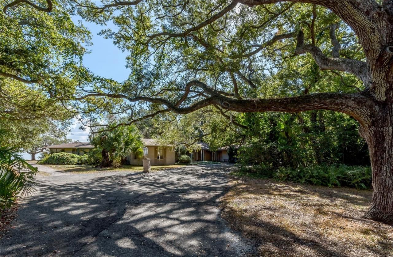 6210 Bayshore Boulevard, Tampa, FL 33611 Photo