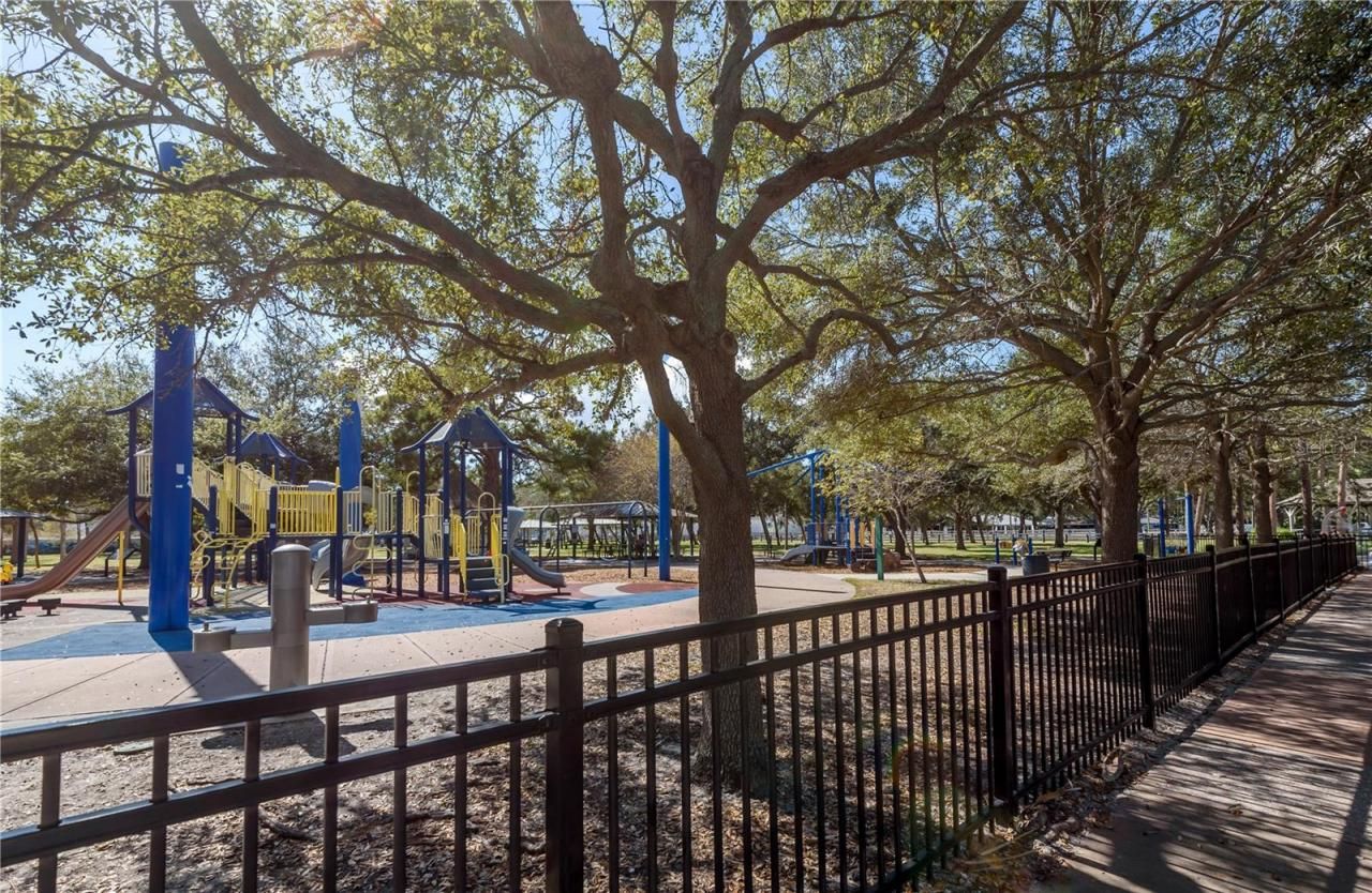 6210 Bayshore Boulevard, Tampa, FL 33611 Photo