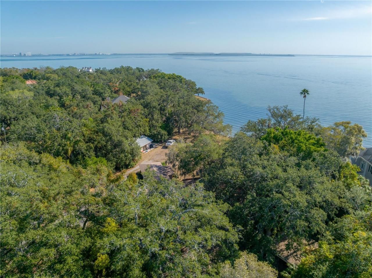 6210 Bayshore Boulevard, Tampa, FL 33611 Photo