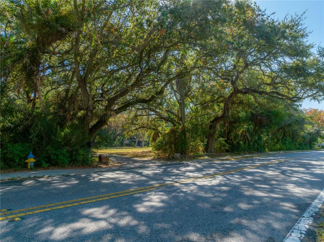 6210 Bayshore Boulevard, Tampa, FL 33611 Photo