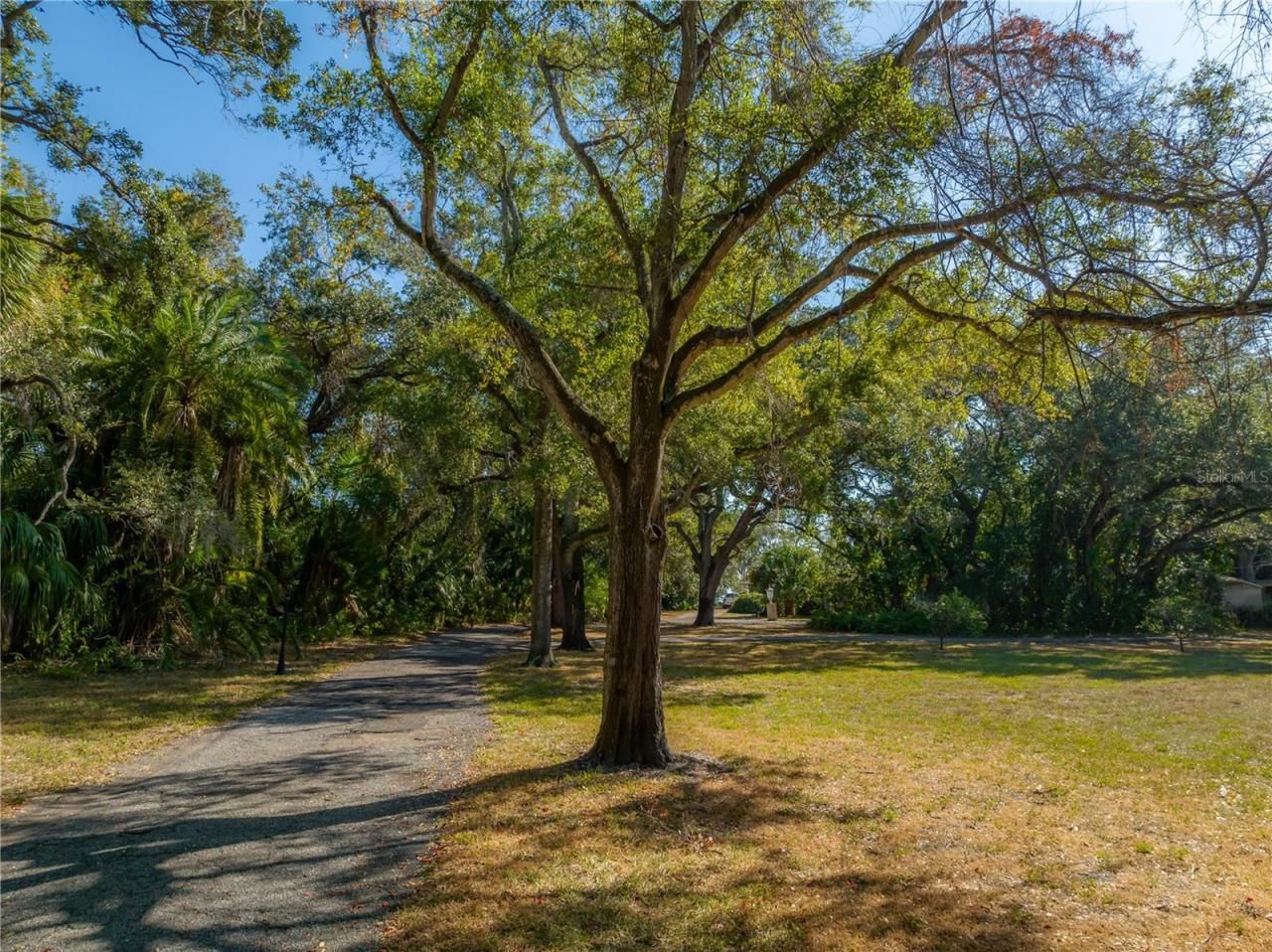 6210 Bayshore Boulevard, Tampa, FL 33611 Photo