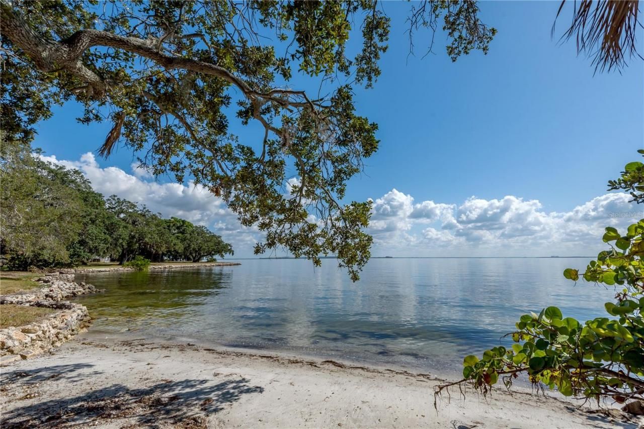 6210 Bayshore Boulevard, Tampa, FL 33611 Photo