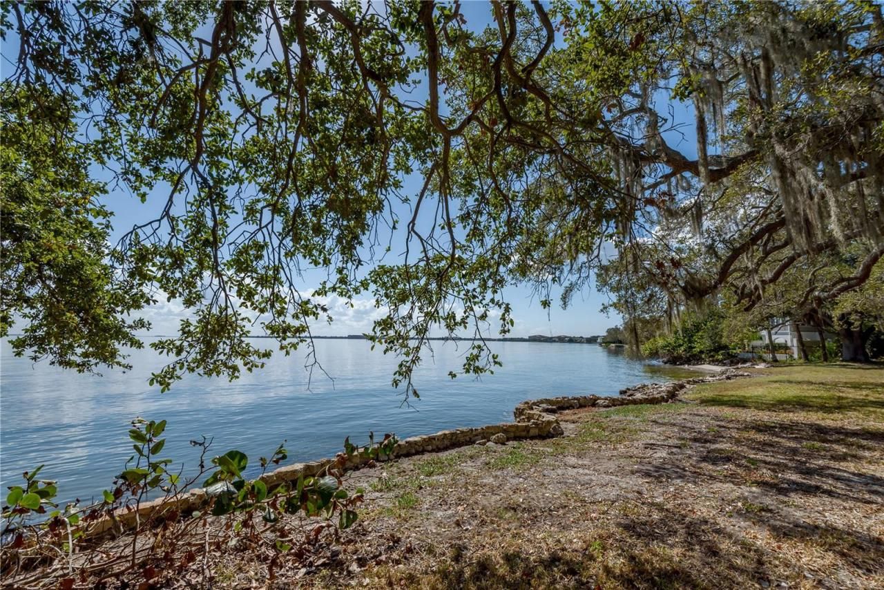 6210 Bayshore Boulevard, Tampa, FL 33611 Photo