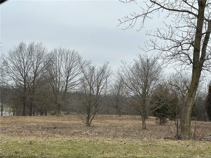 Fortuna Drive, Green, OH 44685 Photo 1