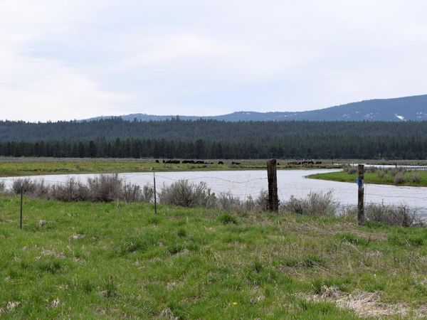 Easement off Skeen Ranch Road, Sprague River, OR 97639