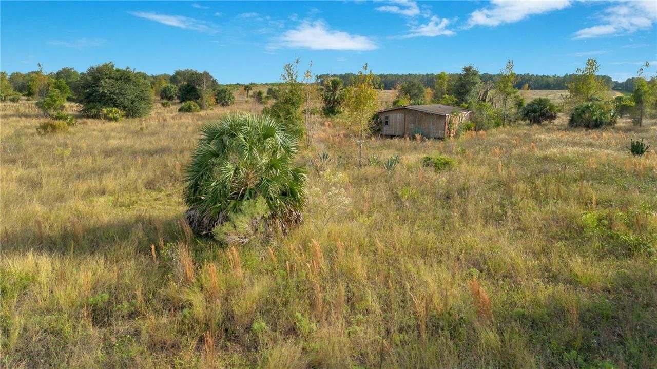 28432 S Eichelberger Road, Tavares, FL 32778 Photo