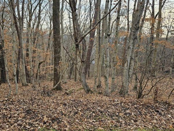 Lot 51 Cherokee Road, Lucas, KY 42156