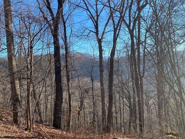 000 Wash Freeman Road, Hendersonville, NC 28792