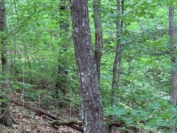 LOT 18 Bruce Mountain, Blairsville, GA 30512
