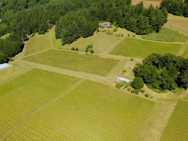 7820 SE Amity Road, Amity, OR 97101