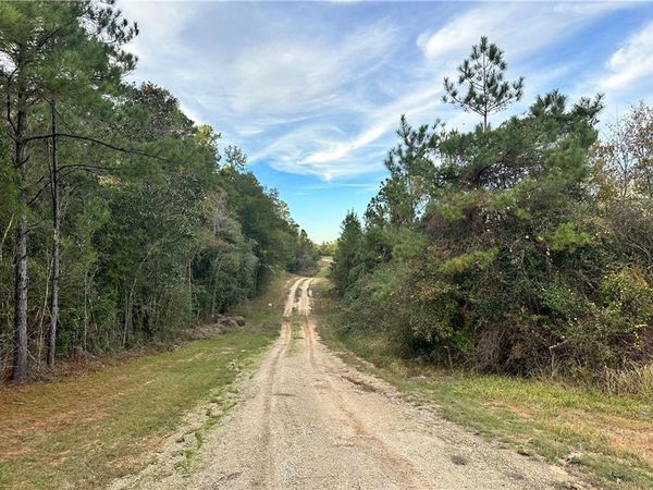 0 Lott Road, Chunchula, AL 36521