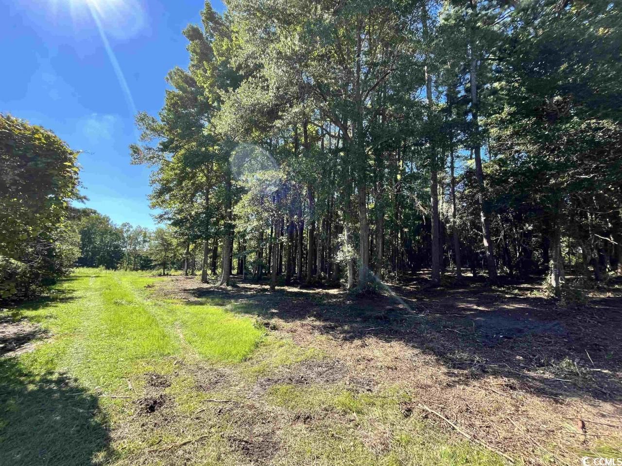 Lot 7 Luck Ave. Photo 5