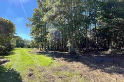 Lot 7 Luck Ave. photo 4