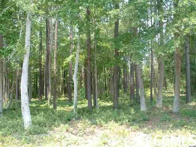 Lot 7 Luck Ave. Photo 6