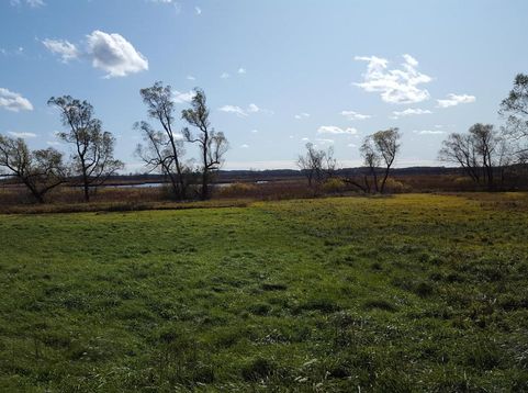 Main Photo