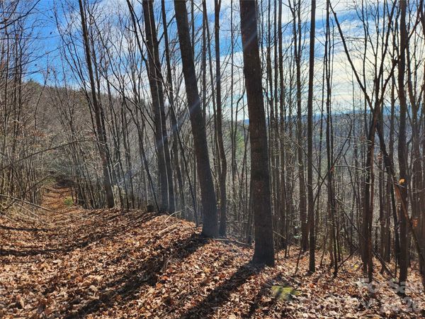 6900 Mertie Road, Millers Creek, NC 28651