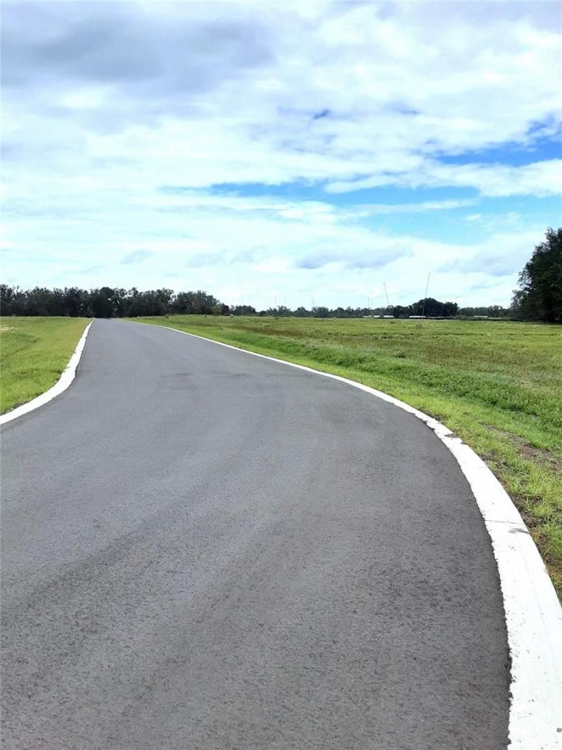 5543 Panoramic View Drive, Apopka, FL 32712 Photo