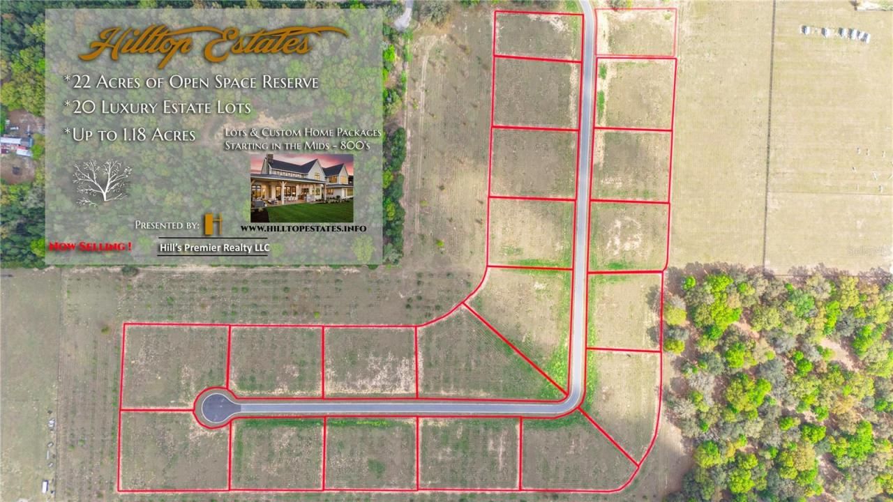 5507 Panoramic View Drive, Apopka, FL 32712 Photo