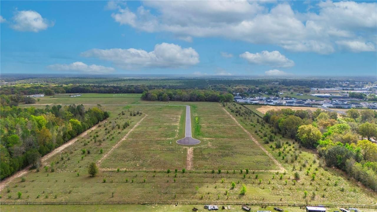 5513 Panoramic View Drive, Apopka, FL 32712 Photo