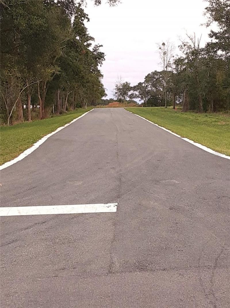 5513 Panoramic View Drive, Apopka, FL 32712 Photo