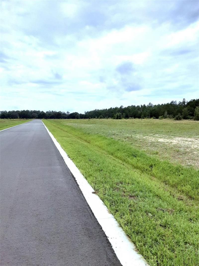 5560 Panoramic View Drive, Apopka, FL 32712 Photo