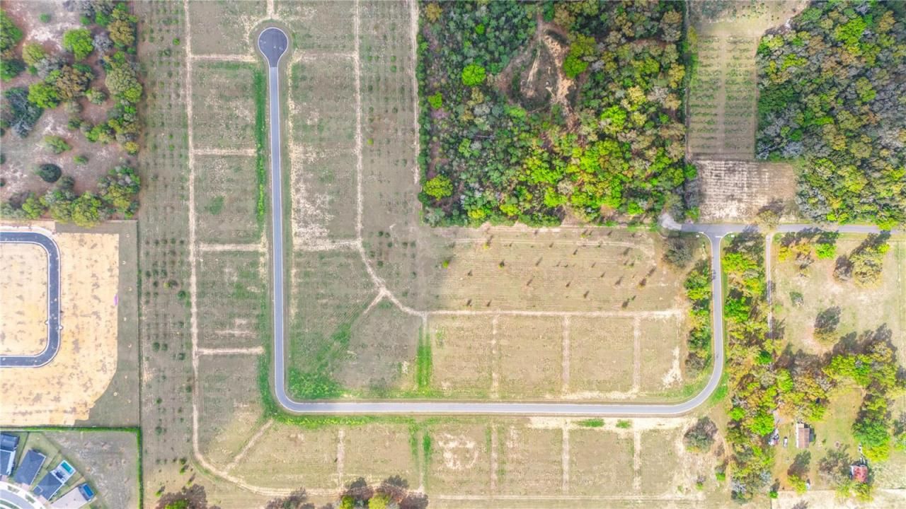 5560 Panoramic View Drive, Apopka, FL 32712 Photo