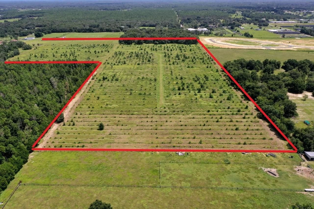 5560 Panoramic View Drive, Apopka, FL 32712 Photo